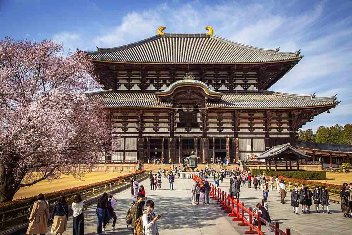 A Guide to a One-Day Tour of Nara: The Ancient Capital