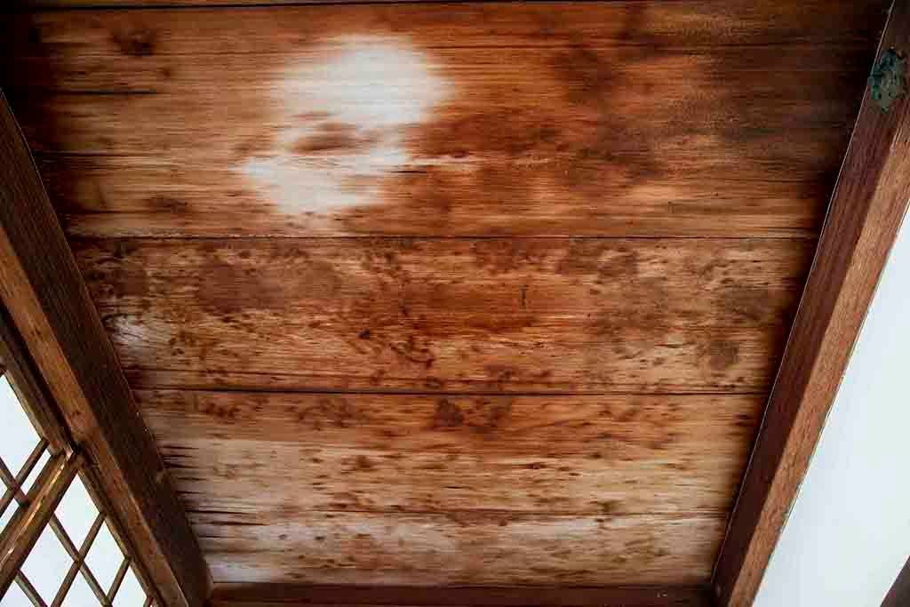 A close up of the blood ceiling where slain bodies left their mark. Photo source: James Saunders-Wyndham