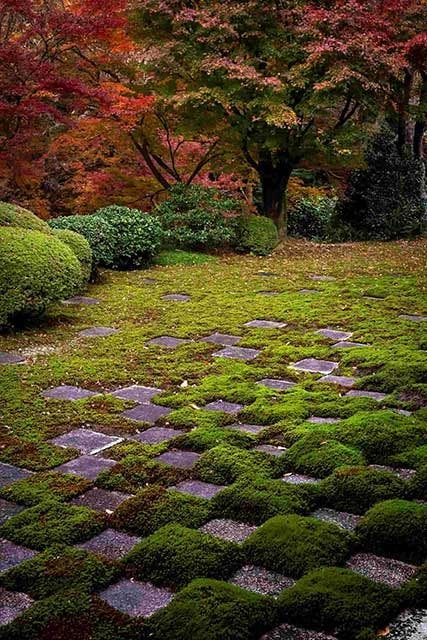 Moss garden at Tofuku-ji in Kyoto. Photo Source: James Saunders-Wyndham