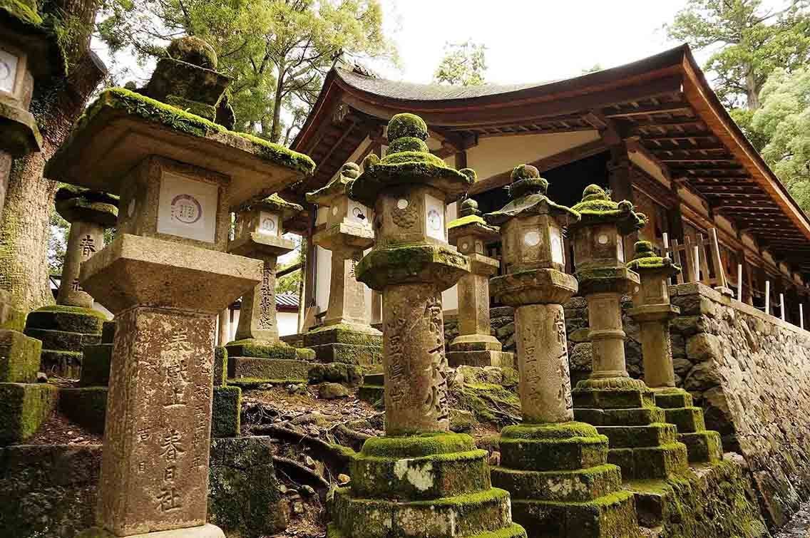 Kasuga-Taisha should be part of your one-day Nara tour, Photo Source: Gregory Stevens