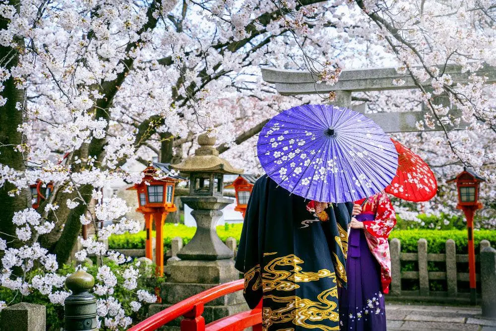 Top 20 Essential Japanese Phrases for Travelers