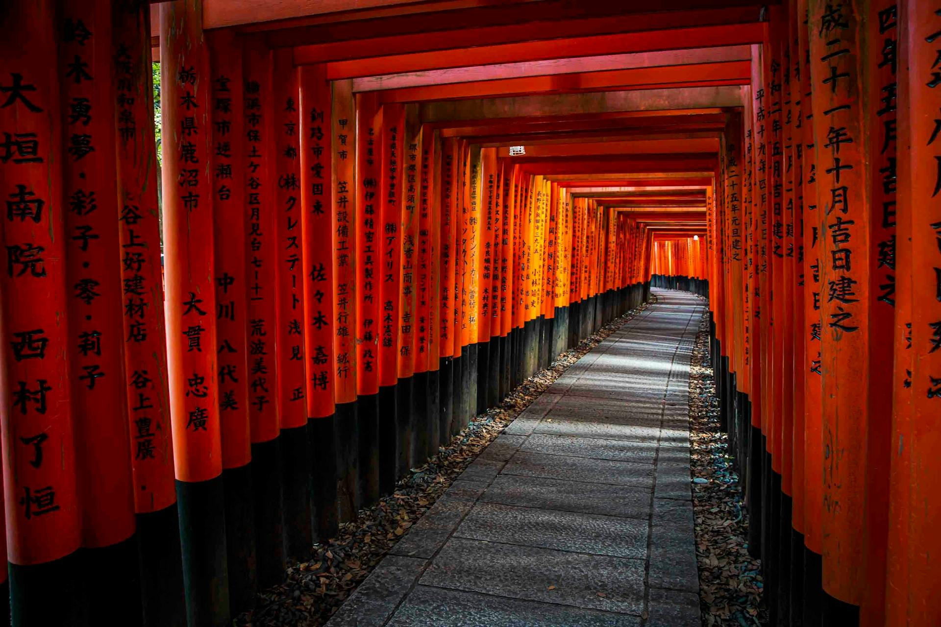 The red tori gates of Fushimi Inari Taisha. Maiko in the Gion Distict. Photo source: James Saunders-Wyndham