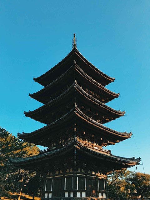 Kofuku-ji Pagoda in the old capital of Nara. Photo Source: @fredrivett