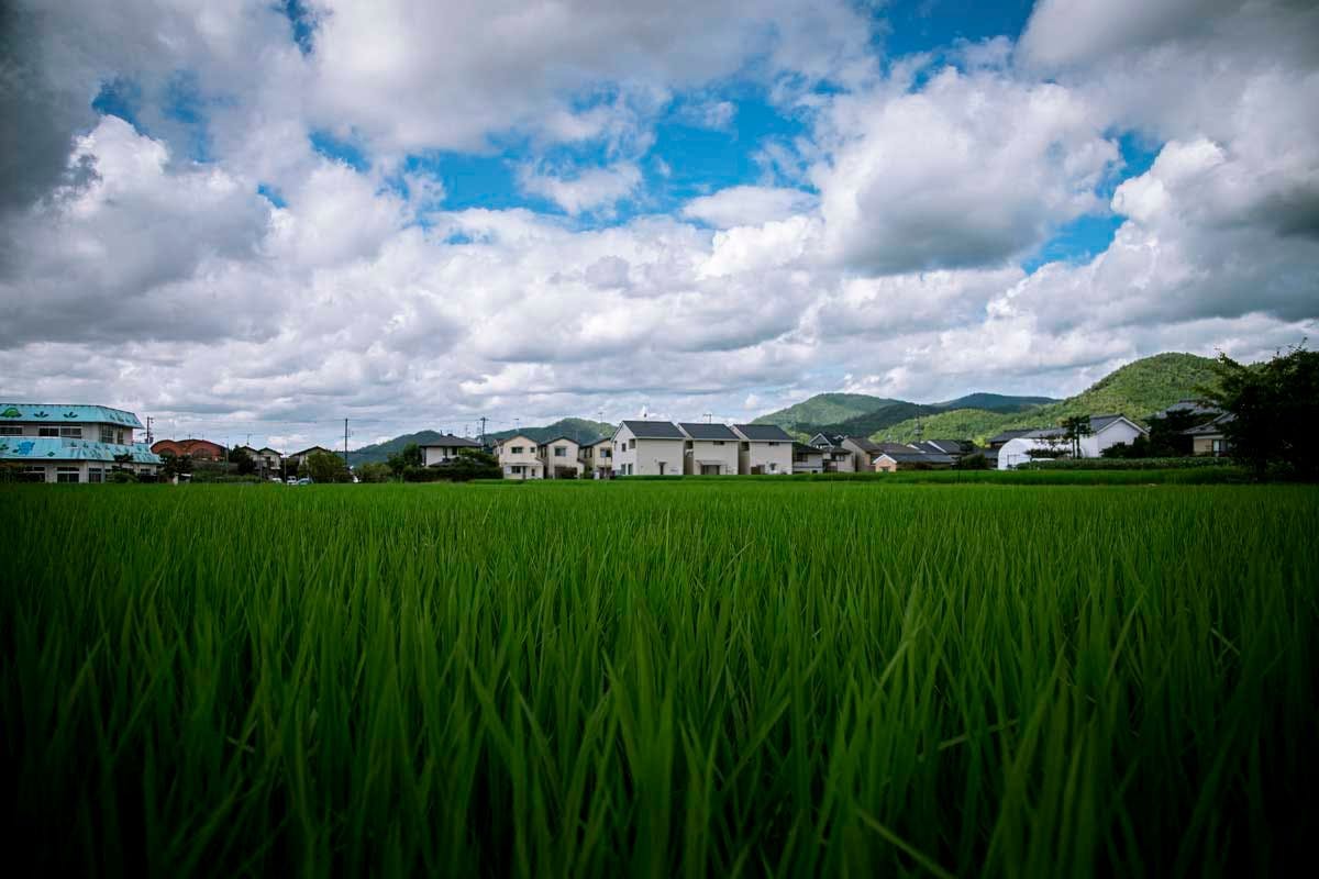 Rural areas in Japan offer greater open spaces. Photo source: James Saunders-Wyndham