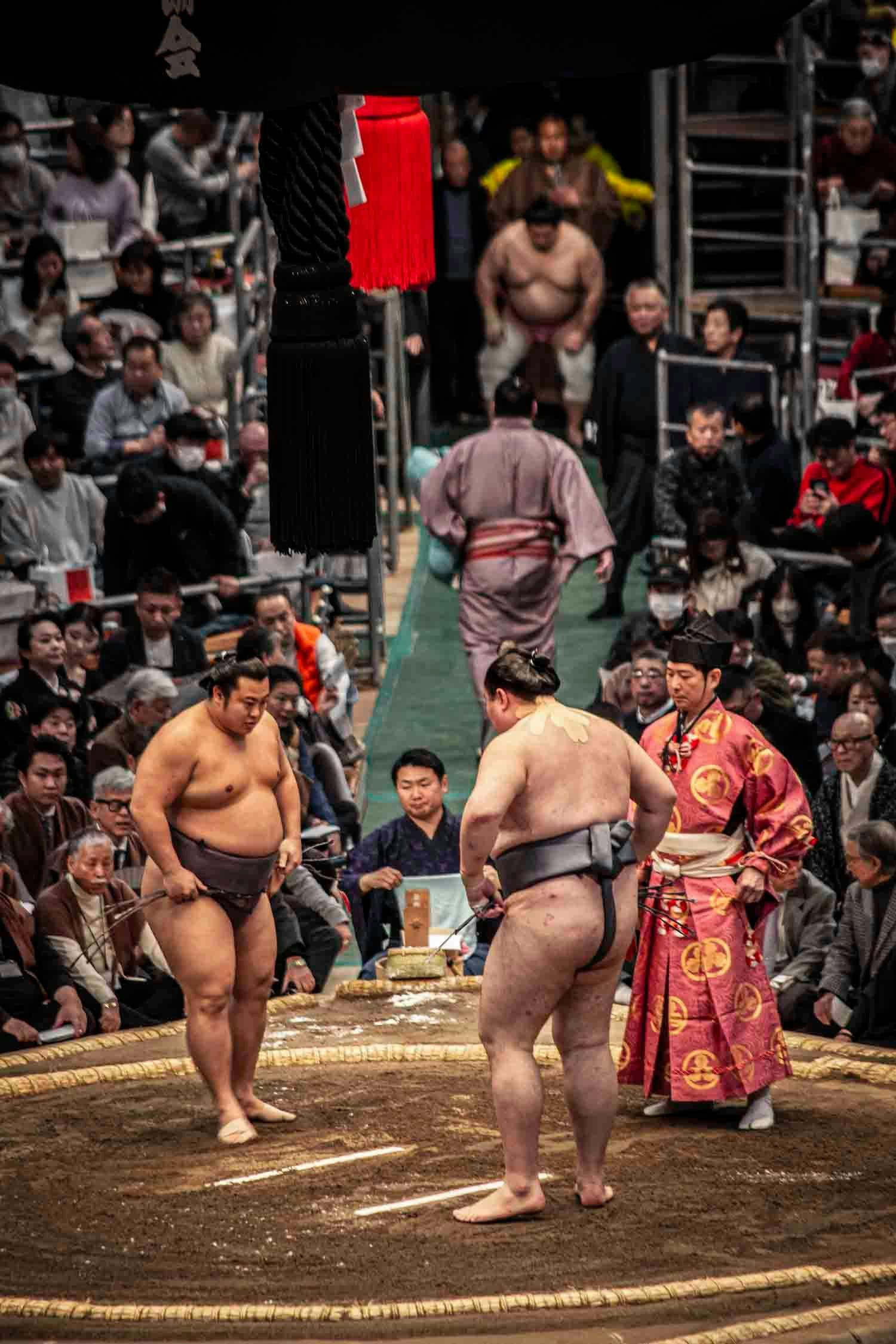 The start of a sumo match. Photo source: James Saunders-Wyndham